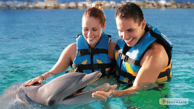 Swimming with dolphins in Marmaris