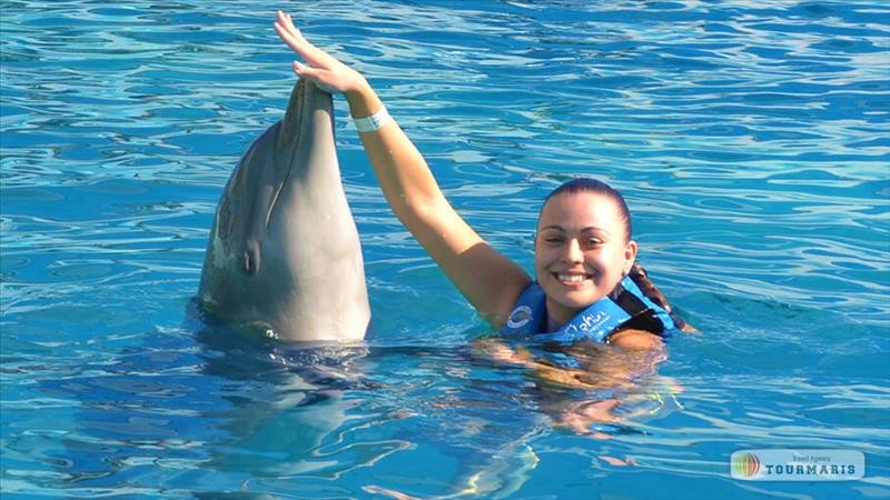 Swimming with dolphins in Marmaris